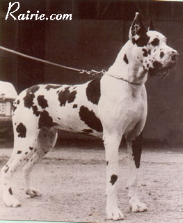 CH Karus von der Nürburg