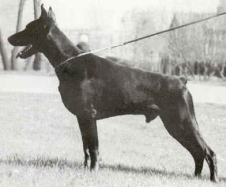 Baron cecar v. rensloo