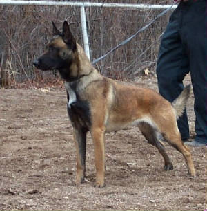 Qrazy From Mike's Place