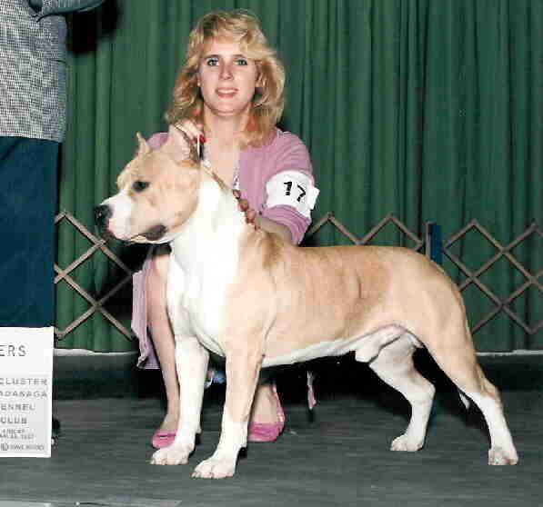 INT CH Storytime's In The Beginning