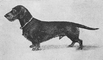 Spielmann von St Georg