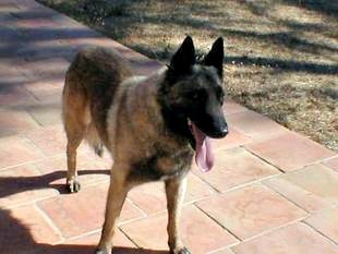 Halan du Pré de l'Enfer