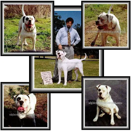 Sure-Grip's Tribute to Otis