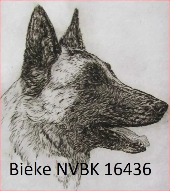 Bieke NVBK 16436 BR
