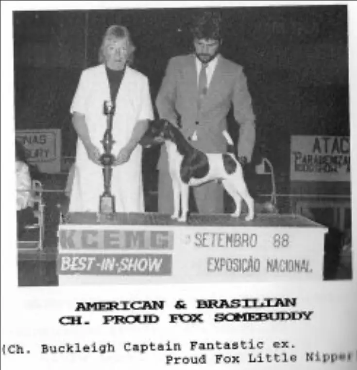 AM CH Proud Fox Some Buddy