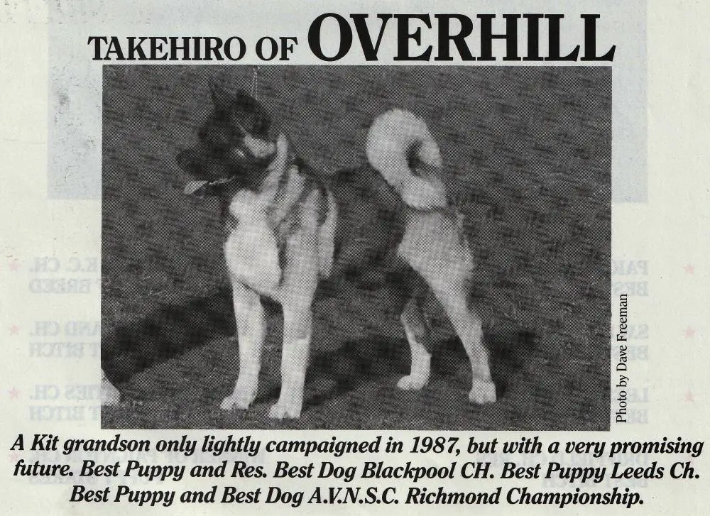 Takehiro Of Overhill