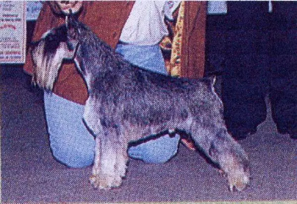 CH E,CH FR,CH INT Chelines Super Man