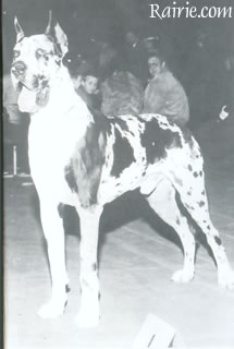 Saupacker Bismarck Germanicus