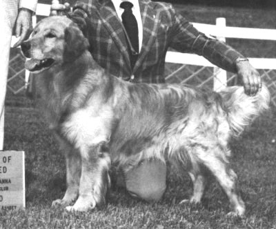 CH Can Farview Harry Houdini