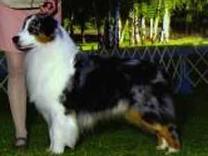 Merribrooks Pickup Man