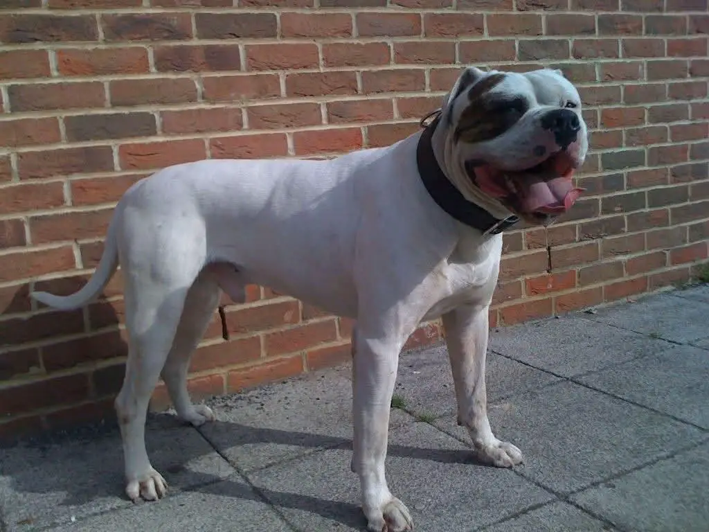 OTAC's Bourne Supremacy