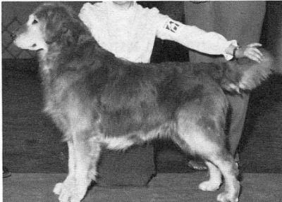 CH Can Kyrie Legendarian