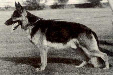 V1 Axel von der Hattsteinburg