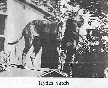 Hydes Satch
