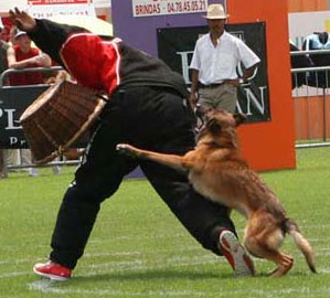 Nièpce des Loups Mutins