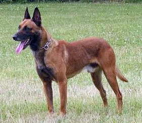 SG Kirou Airport Hannover