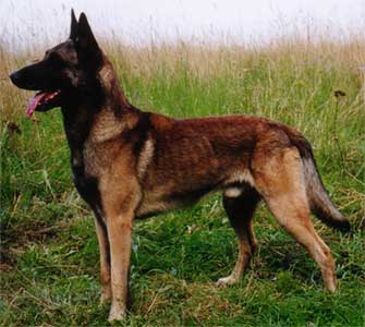 Rent des Deux Pottois