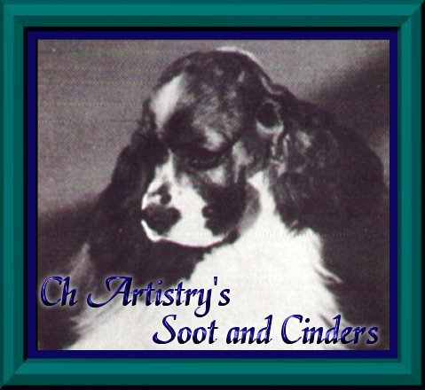 Am. Ch. Artistry's Soot And Cinders