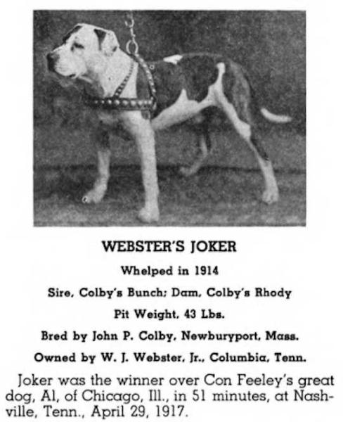 Webster's Joker