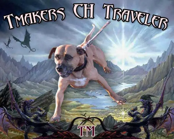 Tmaker's Traveler