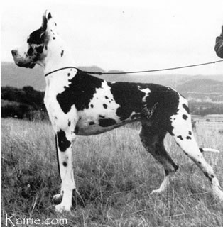 CH Leopold V Weissen Stein