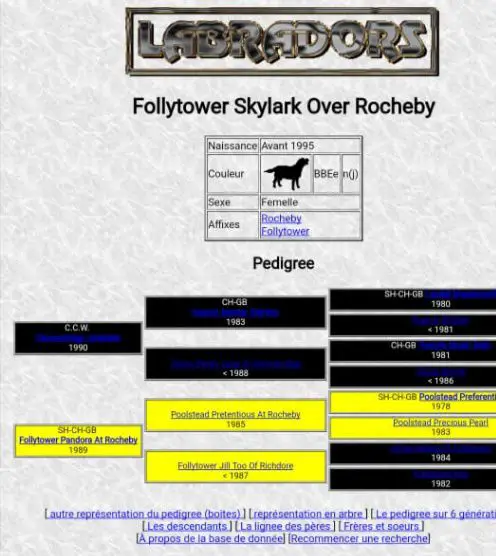 Follytower Skylark over Rocheby