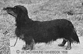 ENG CH Armorel Black Magic