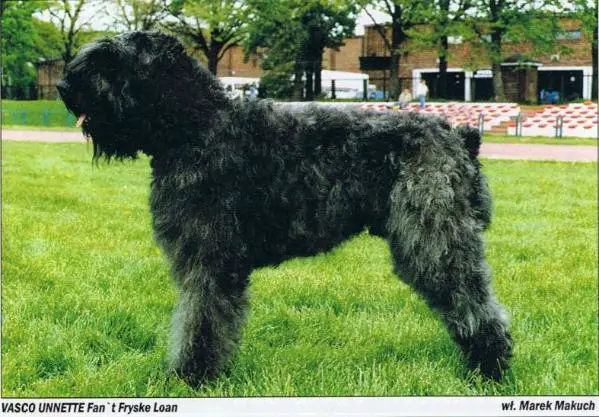 Vasco Unette Fan't Fryske Lan