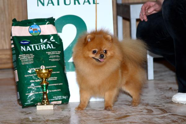 BIS RUS CH Heavenbound Amazing Freedom