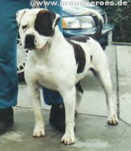 LW's V5 of Sure-Grip