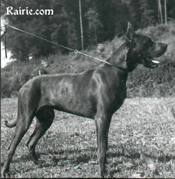 CH WS1974 ES75 LUX Kasimir Von Agricola