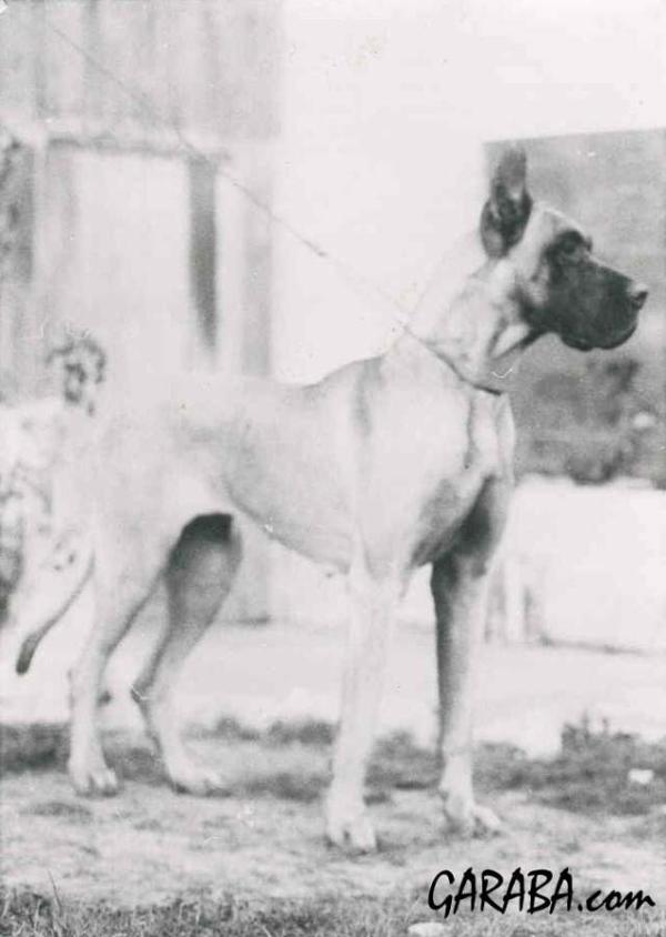 Barbara Melaine de Garaba