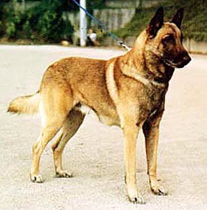 RE SC B INTCH F Aix du Mas des Lavandes