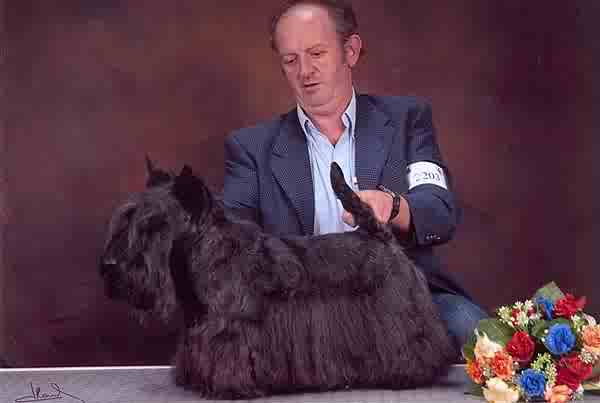 CH.IB - CS Dundee Obliging Walker