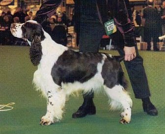 Mompesson Flash Back From Amichien