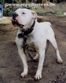 Watchdog Mac the Slasher