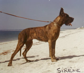 CH FRANCE1970 Sirene de la Templerie