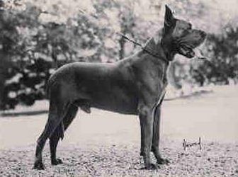 I Am Able v. 't Buitengebeuren