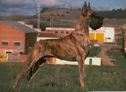 CH L'ostia de Garaba