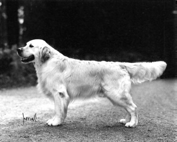 Mjaerumhogda's Classic Sound