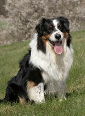 MULTICH, MULTIBIS Sunshine Sooner or Later