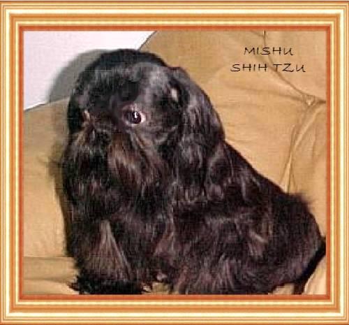 Mishus'S China Dalai Of Da-Lin