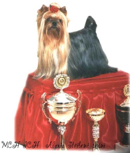 CH Alexis Stříbrné přání