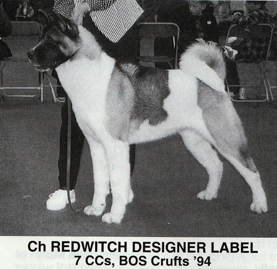 UK CH Redwitch Designer Label