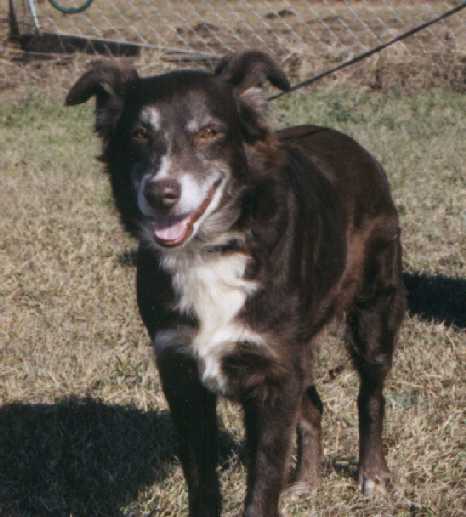 Ricinda Reba of Pincie Creek