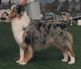 Heartfire In The Summertime