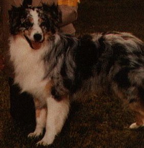 CH Flashback of Windermere