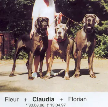 Claudia Vom Mendener Berg