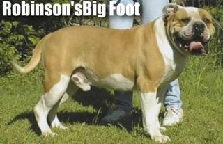 Robinson's King Kong/Big Foot