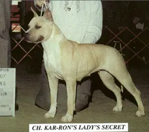 Ch. Kar-Ron's Lady's Secret